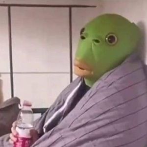 Meet your Posher, Bridget